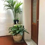 Via Della Campana 17 Nyaraló Portoferraio