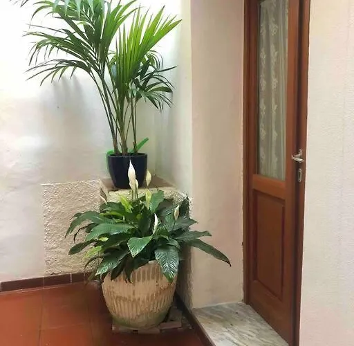 Via Della Campana 17 Σπίτι διακοπών Portoferraio